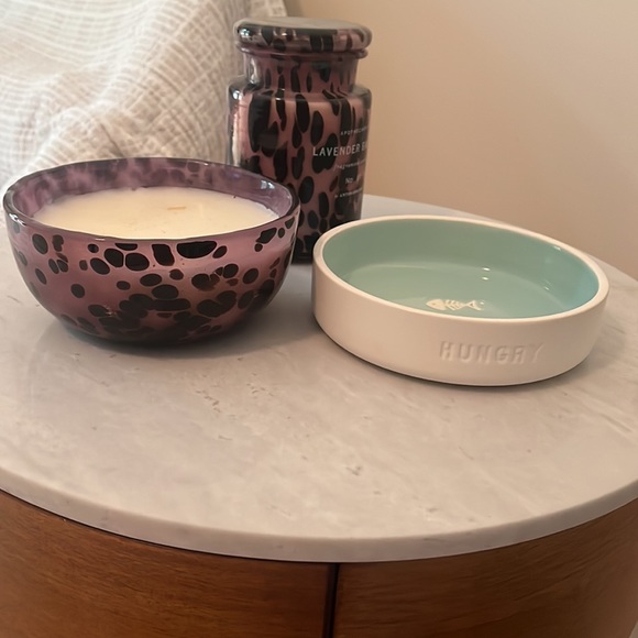 boots and barkley Small Pets New Boots Barkley Hungry Logo Mint